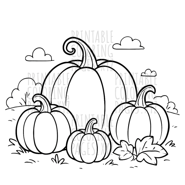 Autumn Pumpkin Patch Adventure