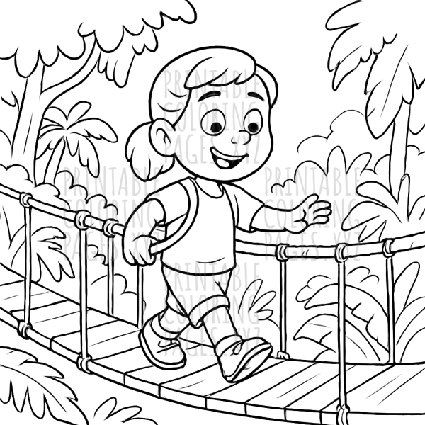 Adventure Through the Rainforest Canopy