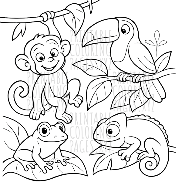 Rainforest Canopy Wildlife Adventure