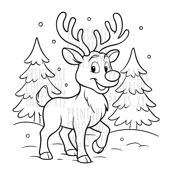 Winter Woodland Reindeer Adventure