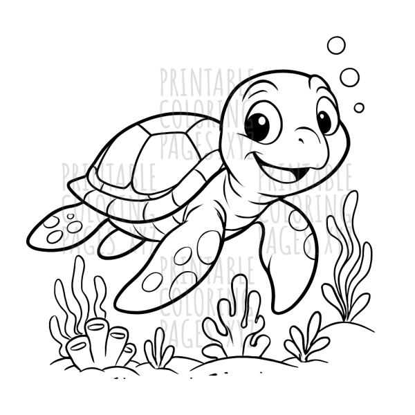 Underwater Sea Turtle Reef Adventure