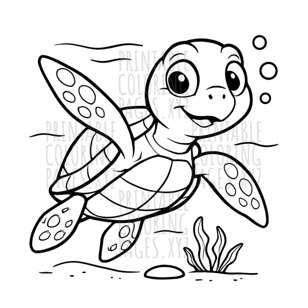 Underwater Sea Turtle Adventure