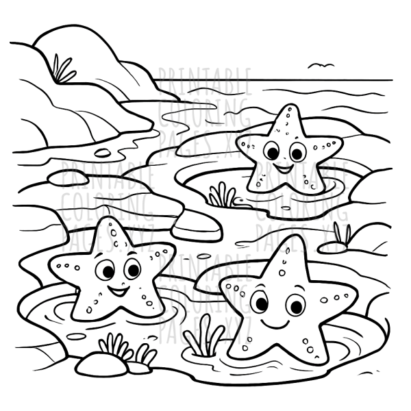 Discover the Magic of Seashore Tide Pools with Starfish