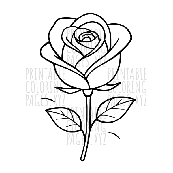 Elegant Red Rose Close-Up Coloring Fun