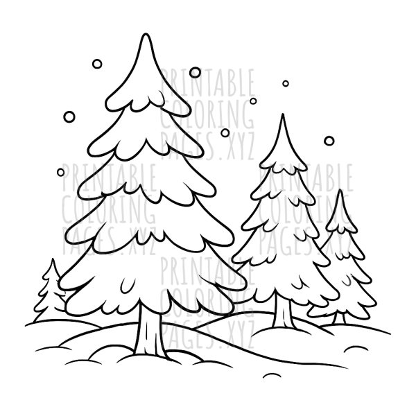Peaceful Snowy Pine Tree Forest Adventure