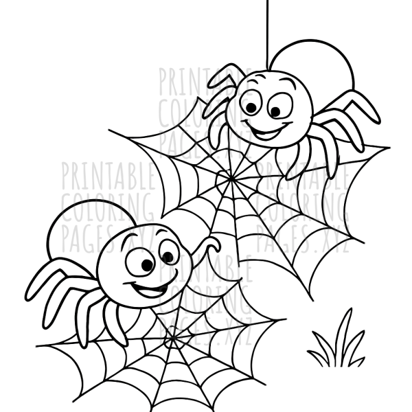 Intriguing Spiders Spinning Webs Coloring Adventure
