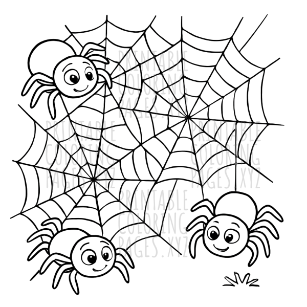 Spider's Magical Web Weaving Adventure