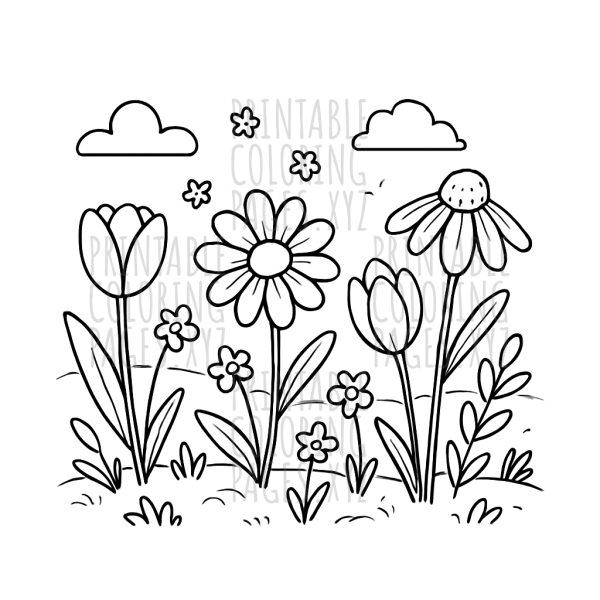 A Blooming Spring Flower Meadow Adventure