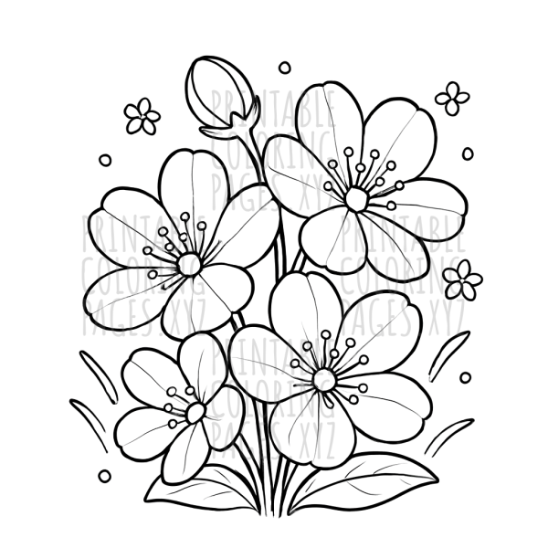 Spring Flowers Close-Up Coloring Page