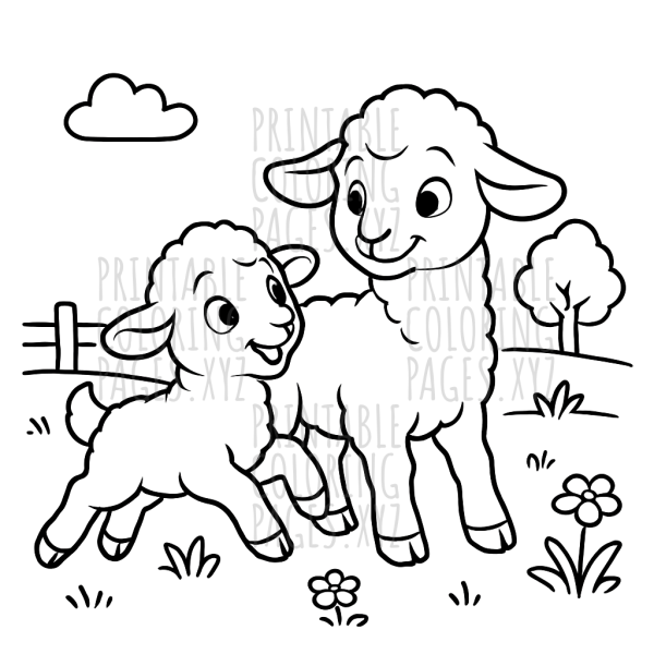 Gentle Spring Lambs Playing in a Sunny Field