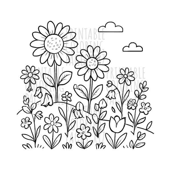 Spring Wildflower Meadow Adventure