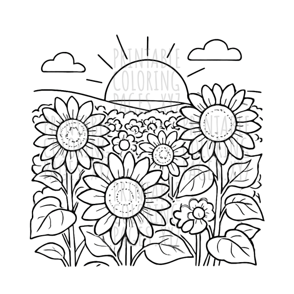 Golden Sunset Sunflower Field Scene