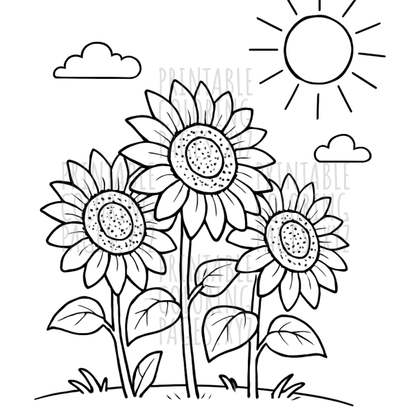 Sunny Sunflowers in Full Bloom