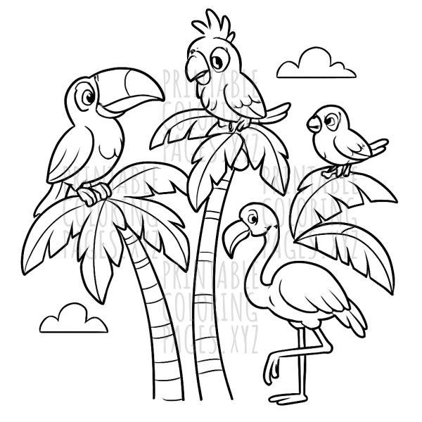 Tropical Birds Relaxing on Palm Trees