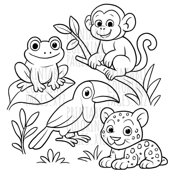 Discover the Wonders of Tropical Rainforest Animals