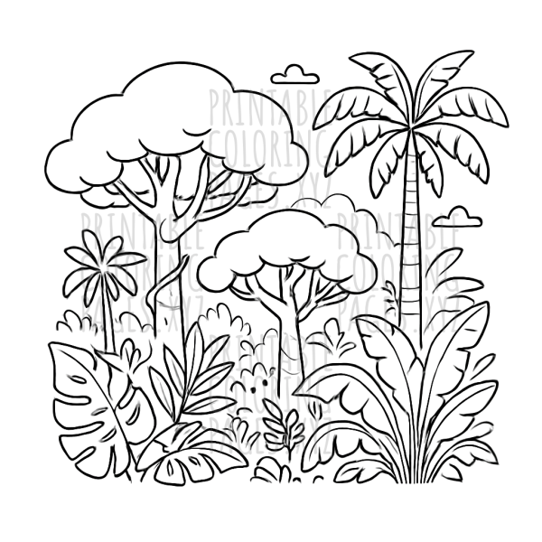 Explore the Vibrant Tropical Rainforest Canopy