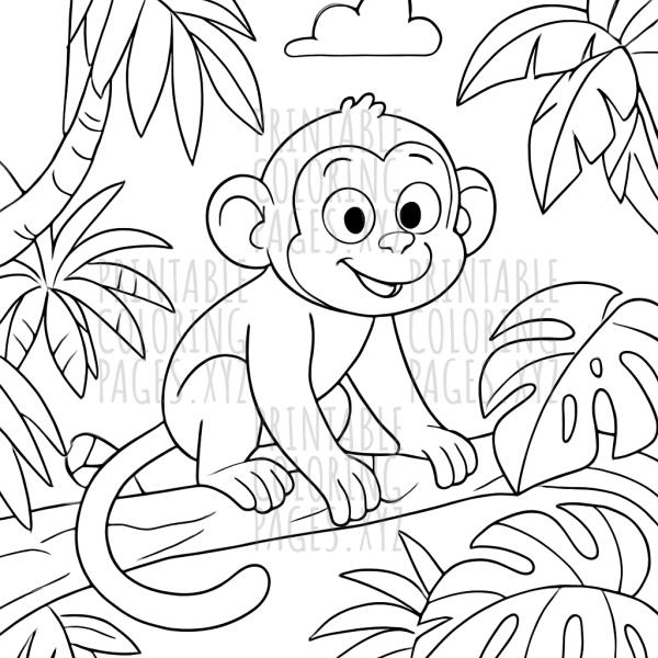 Explore the Lush Tropical Rainforest Canopy