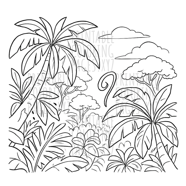 Discover the Wonders of the Tropical Rainforest Canopy