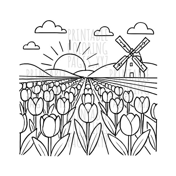 Serene Tulip Fields at Dawn Coloring Scene