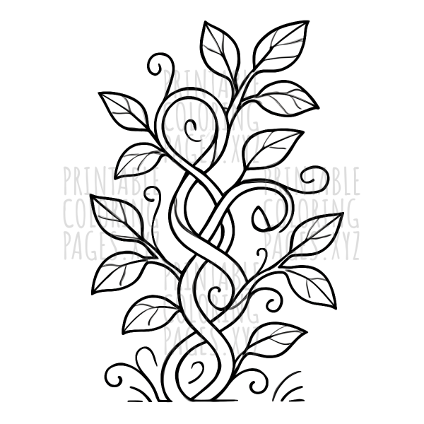 Elegant Twisting Vine Patterns to Color and Create