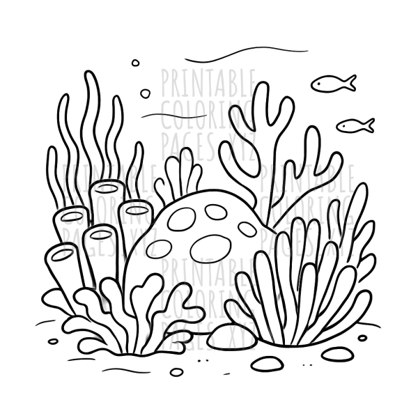 Vibrant Underwater Coral Reef Adventure