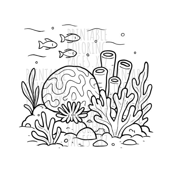 Vibrant Underwater Coral Reef Adventure