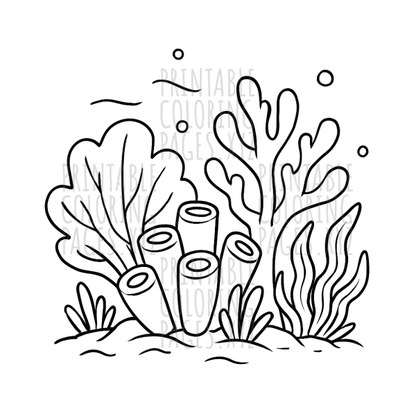 Vibrant Underwater Coral Reef Adventure