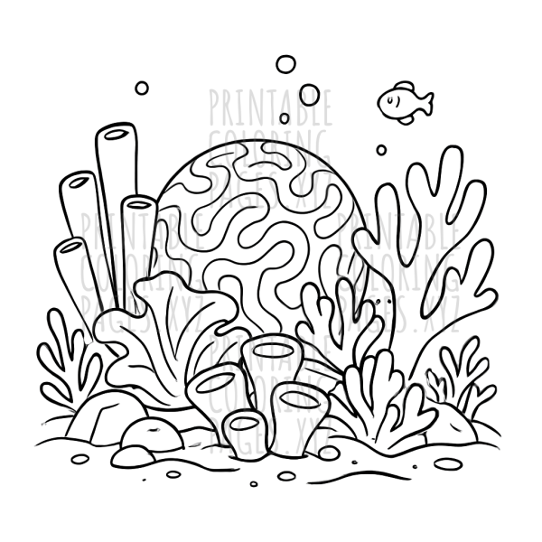 Dive into the Colorful Underwater World