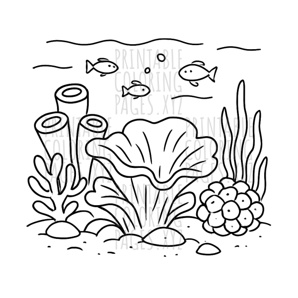 Dive into the Vibrant Underwater Coral Reef