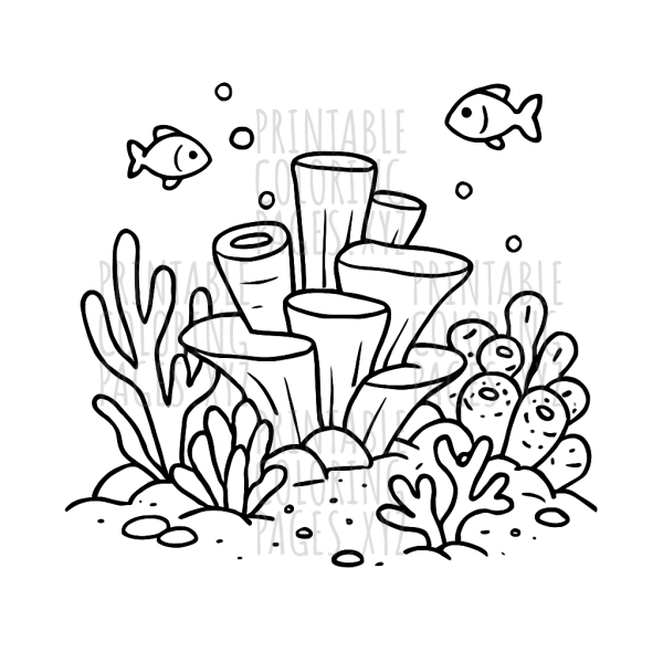 Colorful Underwater Coral Reef Adventure