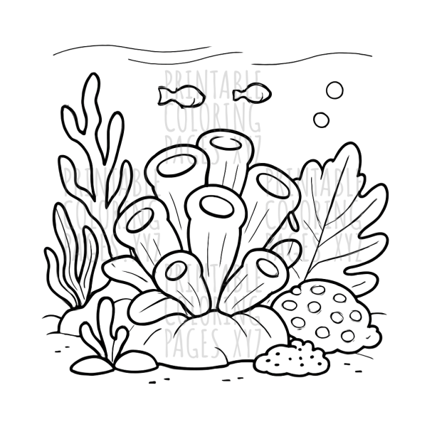 Colorful Underwater Coral Reef Adventure