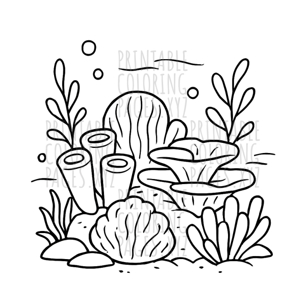 Vibrant Underwater Coral Reef Adventure