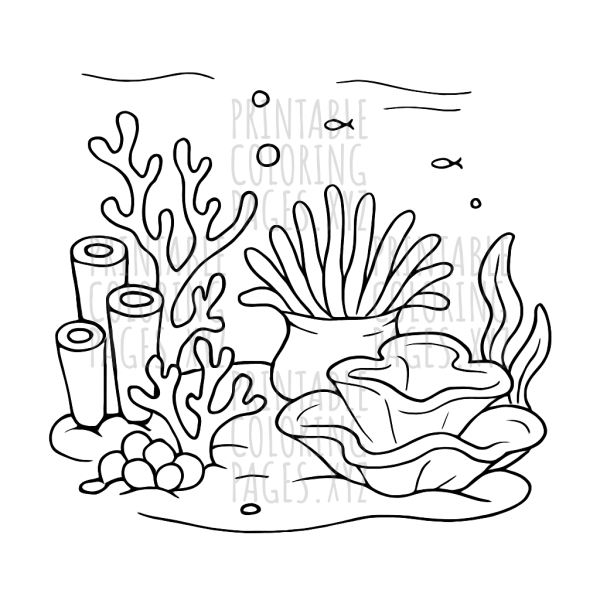 Vibrant Underwater Coral Reef Adventure