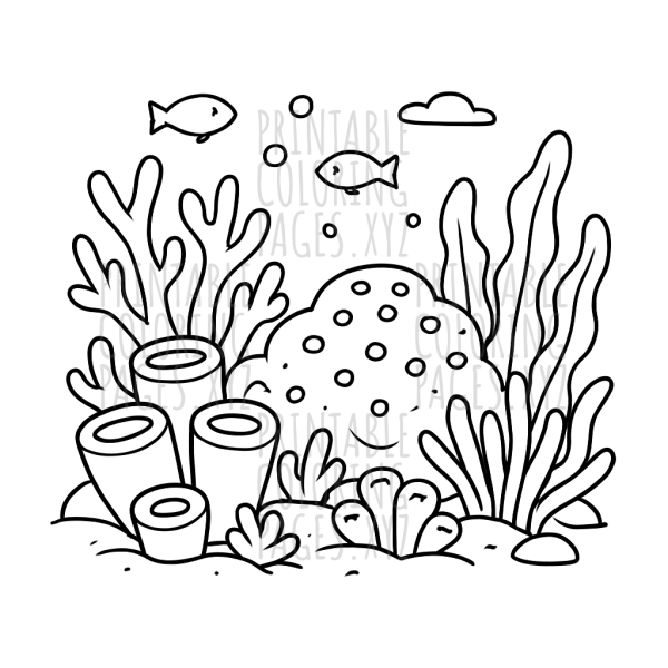 Underwater Coral Reef Adventure