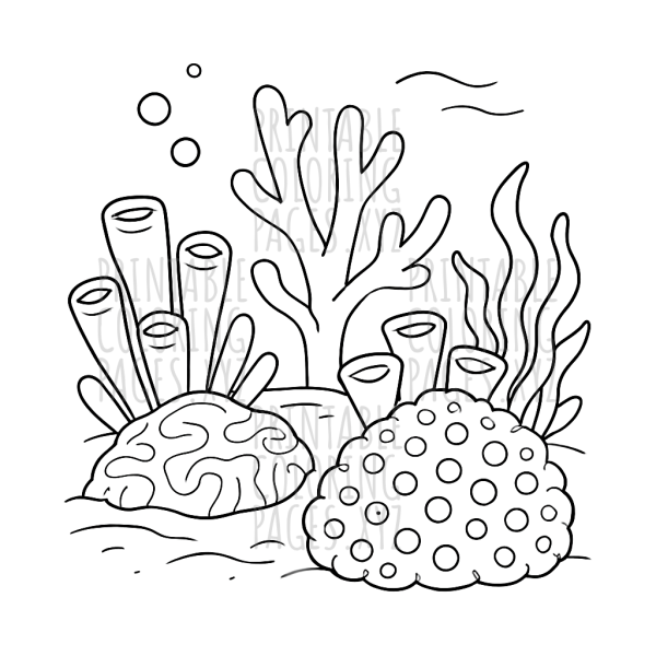 Discover the Vibrant World of Underwater Coral Reefs