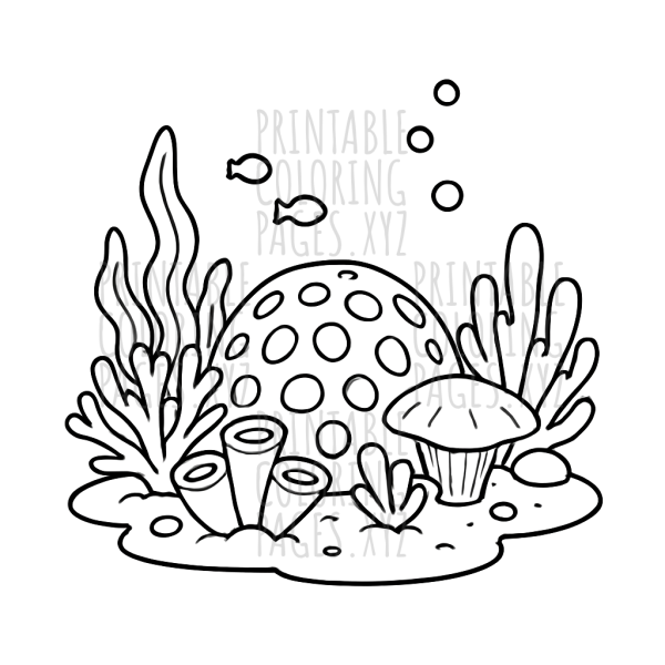 Vibrant Underwater Coral Reef Adventure