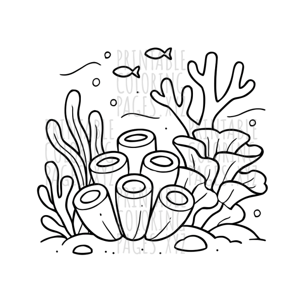 Dive Into the Vibrant Underwater Coral Reef Adventure