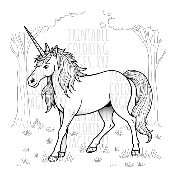 Magic Unicorn Adventure in the Enchanted Forest