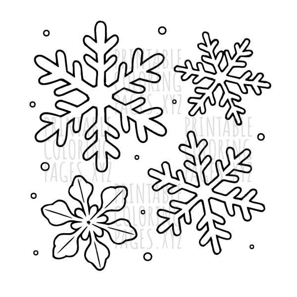 Intricate Snowflake Wonders