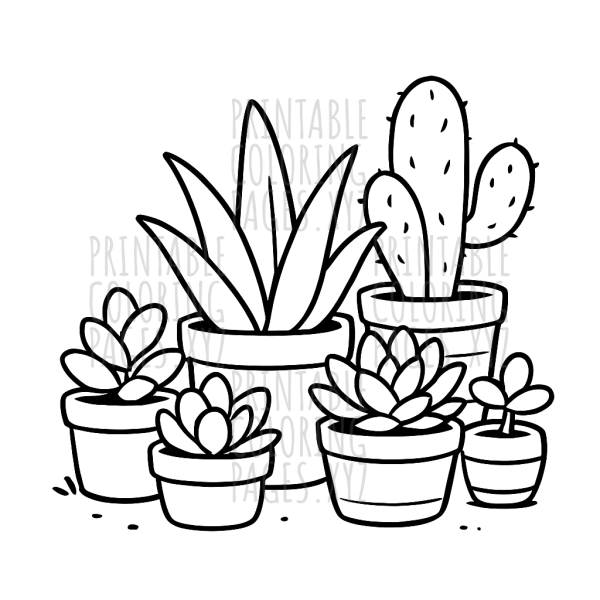 Blooming Succulent Garden Adventure