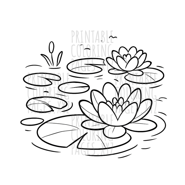 Tranquil Water Lilies Pond Scene