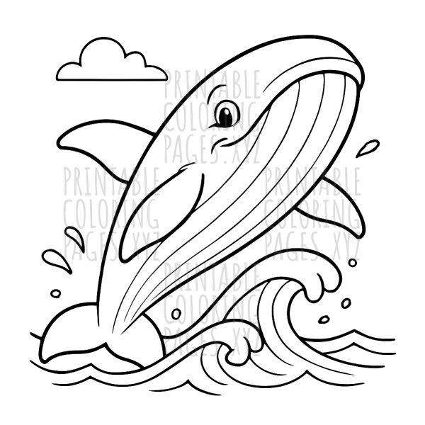 Whale Breaching Ocean Waves Adventure