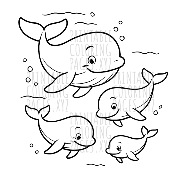 Graceful Whale Pod Ocean Dive