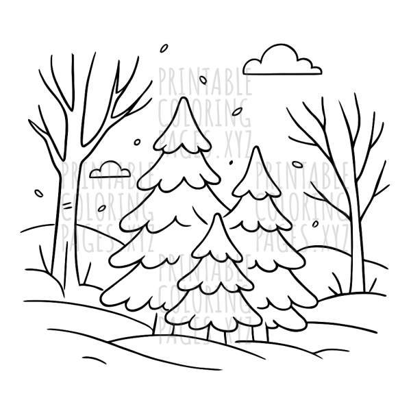 Enchanting Winter Forest Adventure