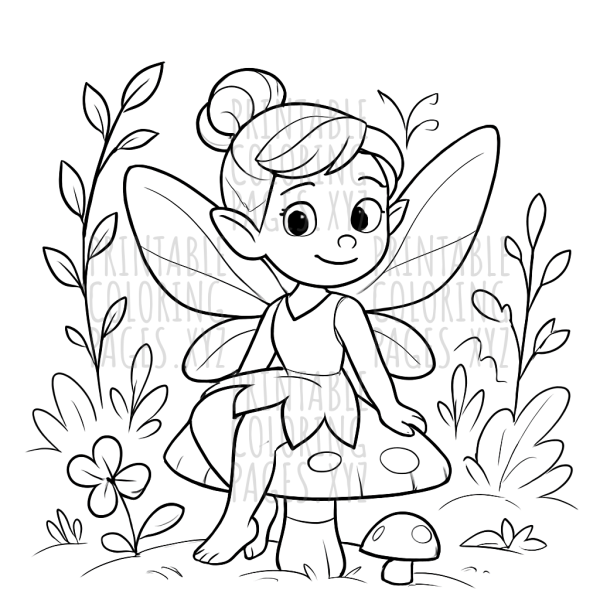 Enchanting Woodland Fairy Glen Adventure