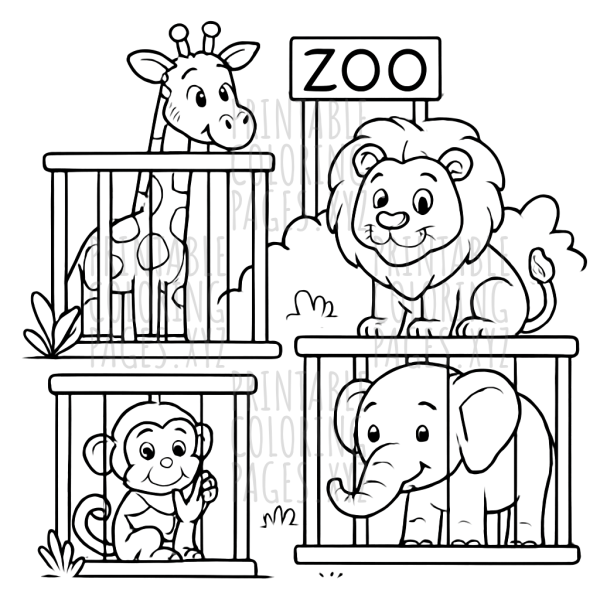 Amazing Zoo Animal Adventures